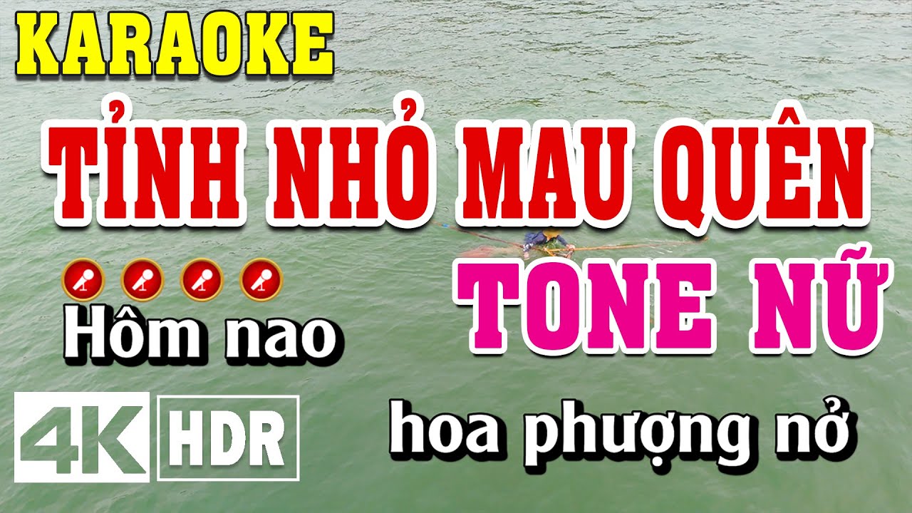 Tỉnh Nhỏ Mau Quên Karaoke Tone Nữ Beat Chuẩn | Đình Long Karaoke