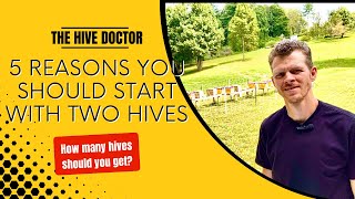 Avoid the most Common Beginner Mistake!!//How many beehives to start with 