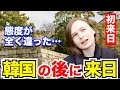 「韓国の後に来日して…全く態度が違った…」外国人観光客にインタビュー｜ようこそ日本へ！Welcome to Japan!