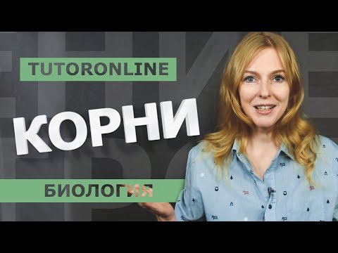 Видео: Биология I Корни