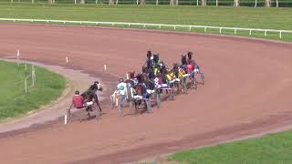 Vidéo de la course PMU PRIX DE VILLEDIEU-LES-POELES