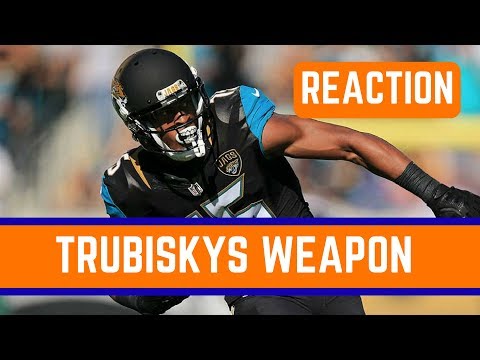 Chicago Bears Sign Allen Robinson Reaction and Analysis