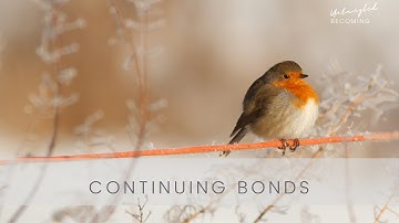 Continuing bonds- A theory of grief.