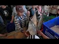 Wild Seafood Direct Live at the Set Net Fishery Fish so fresh they're dancing! 明發定置漁場 新竹海鮮