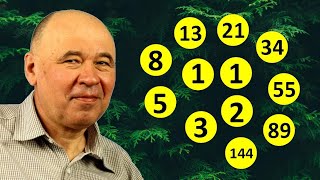 картинка: Золотое сечение и числа Фибоначчи