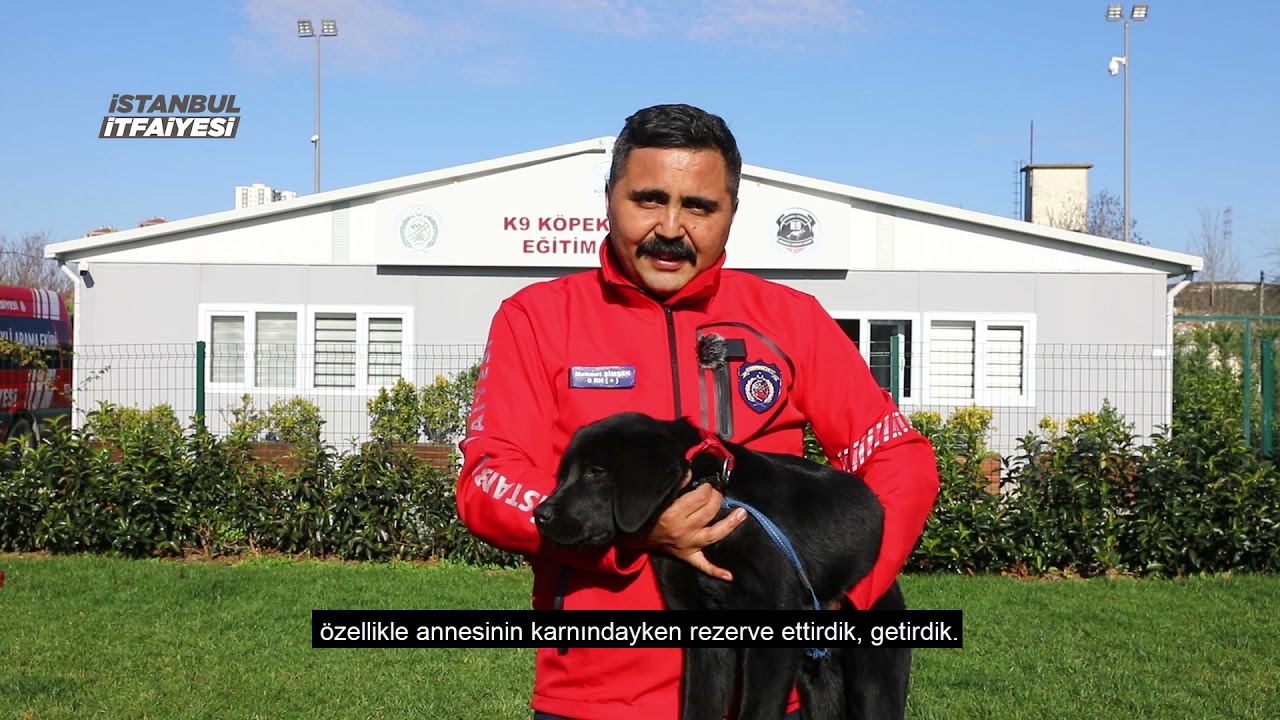 K9 ARAMA KURTARMA KÖPEKLERİMİZİN EĞİTİMLERİ DEVAM EDİYOR