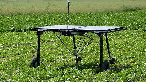 The Future of Farming: Ecorobotix, the Solar-Powered Weeding Robot