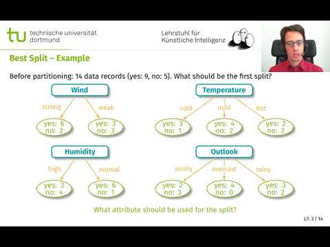 ML L7: Splitkriterien bei Entscheidungsbäumen