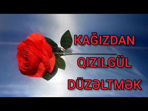 Video: Keçirilən çiçəkləri Necə əyləndirmək Olar