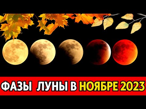 Какие фазы луны в НОЯБРЕ 2023, когда полнолуние и новолуние в ноябре