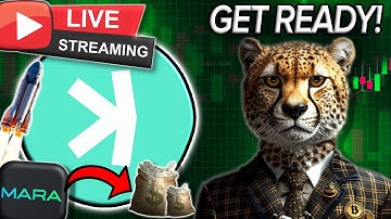 KASPA MARA WALLET REVEALED?! | NEW KASPA DEVELOPERS + HARDFORK NEXT YEAR