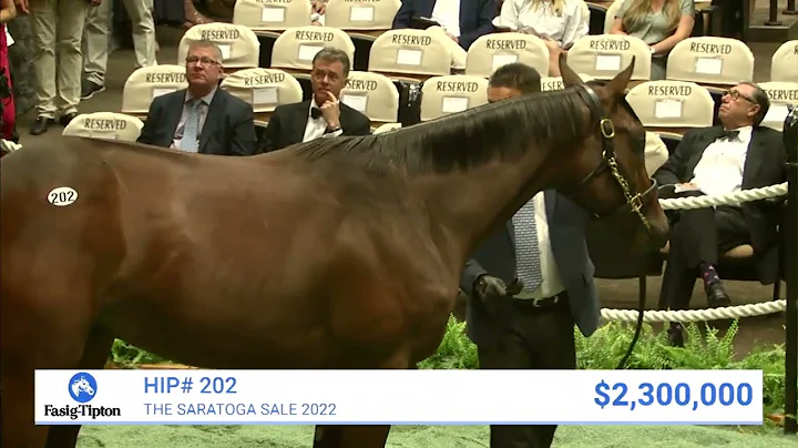 Gun Runner colt o/o Heavenly Love sells for $2,300...
