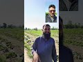 Ir farms tour  valuable learning for new farmers from mazhar ali