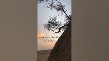 القارئ : يوسف العيدروس