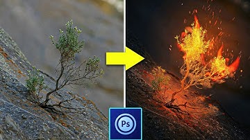 PS Touch Tutorial - Add Fire And Glow To A Plant in ps touch/android