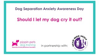 should I let my dog cry it out?