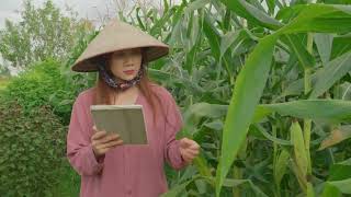 How AI Predicts Crop Yields for Smarter Agriculture
