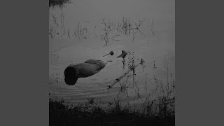 The Way Of The Water