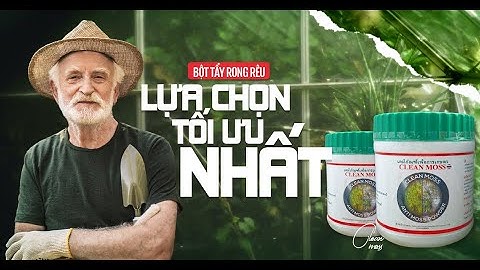 Bột Tẩy Rong Rêu Nội Địa Thái - Dùng Thử Sạch Mới Trả Tiền