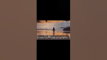 سورة النور || القارئ : أحمد الشافعي