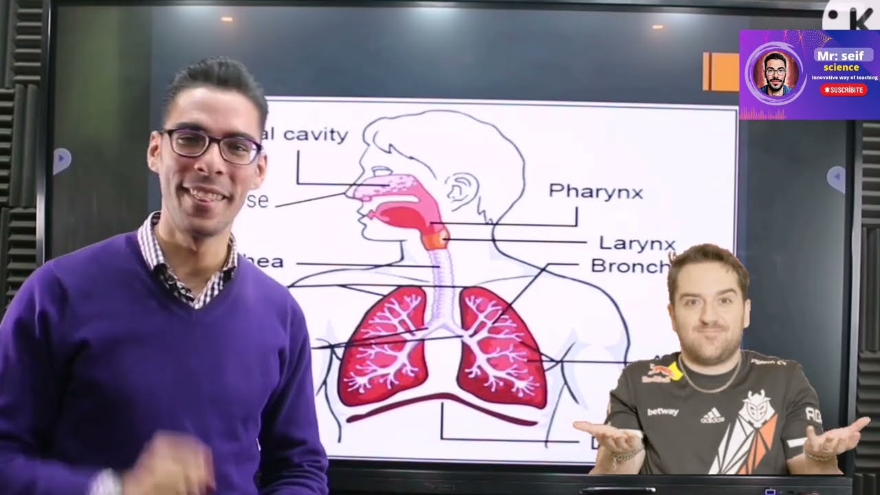 Respiratory system grade 4
