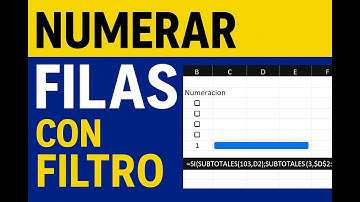 ✅ Cómo numerar filas automáticamente en Excel (incluso con filtros)