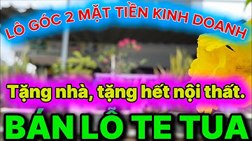 [Đã bán] Mặt Tiền Ngã 4 Trong Lòng Kcn Vsip2. Vị Trí Kinh Doanh Đặc Biệt. Tặng Nhà Tặng Hết Nội Thất