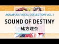 SOUND OF DESTINY/緒方理奈