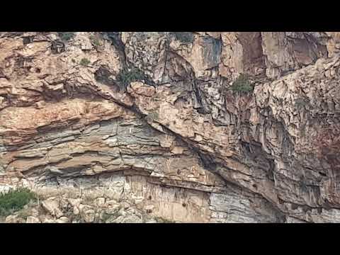 Έγκοιλο Χάος στο
