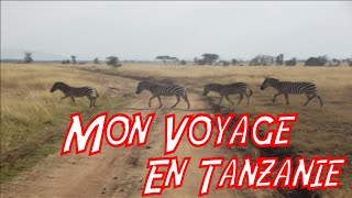 Voyage en Tanzanie (Kilimandjaro, safaris, villages)