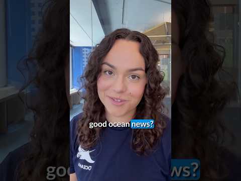 Good Ocean News from June