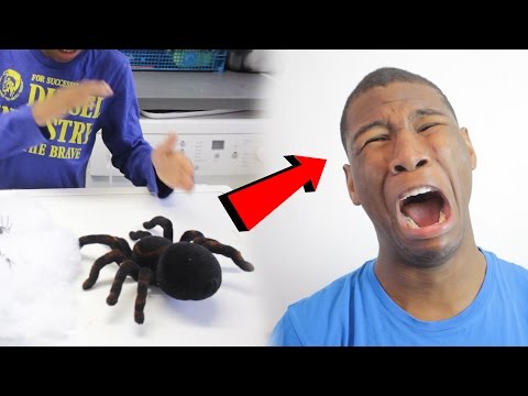 extreme-spider-scare-prank-on-brother!!-(revenge-prank)-**prank-wars**