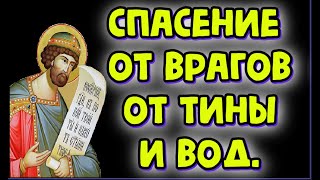 Спасение от врагов , от тины и вод.