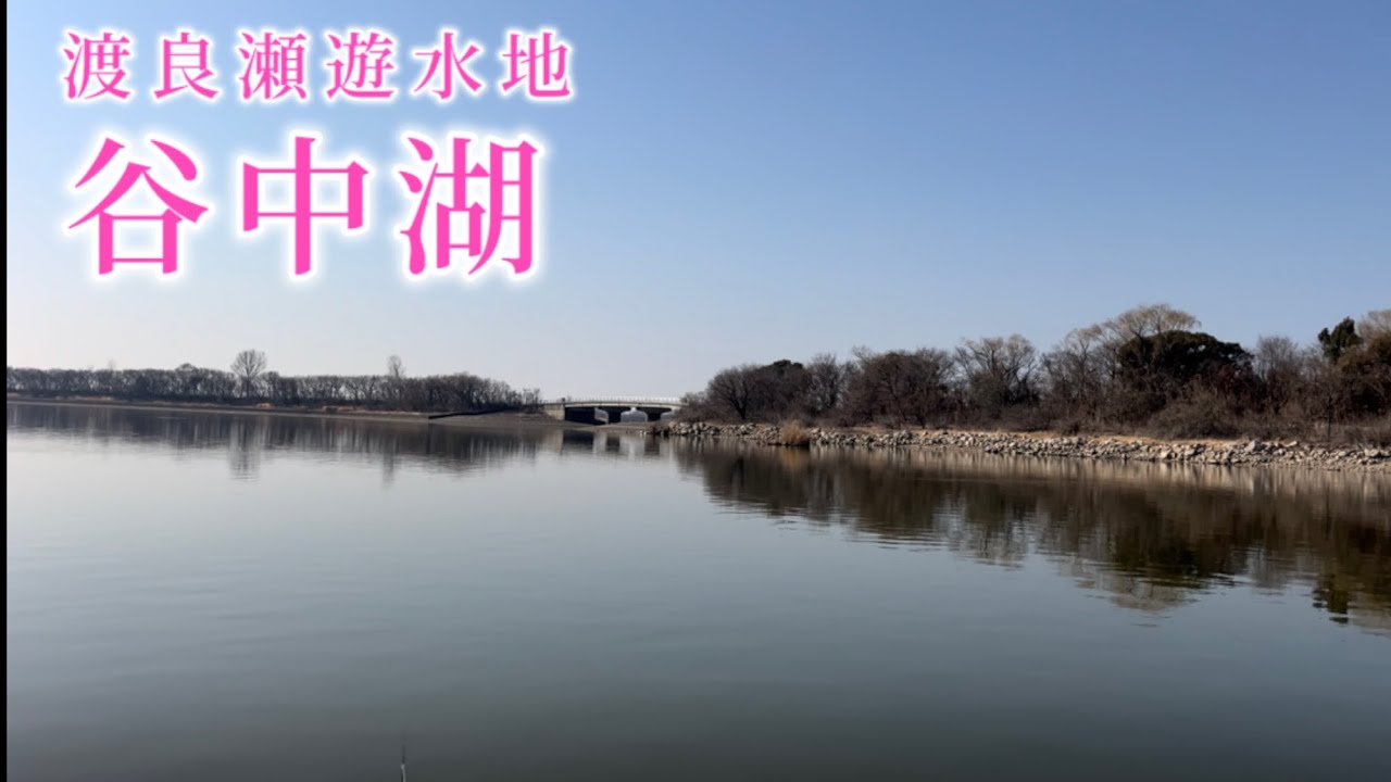 谷中湖 ㊙️湾処ポイント⁉️今年は干し上げ中止だよ！