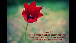#1 Getting Free Of An Evil Conscience Heb.10:22 Faith works by love. Whatever is not of Faith is Sin