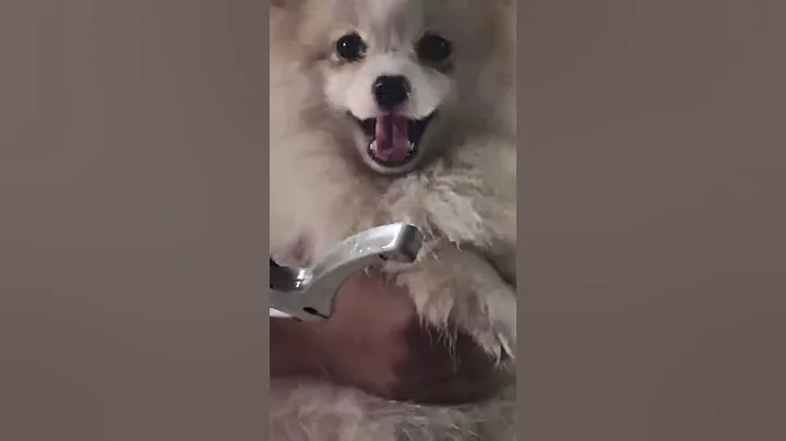 Có Bông Thì phải có Xu.Mai là một ngày của Bông và Xu!Mn người nhớ xem vào lúc 8h nhé