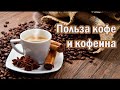 Что творит кофе с сосудами, кровью, мозгом...