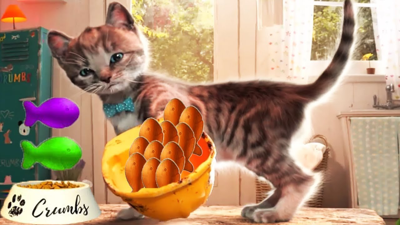Play Fun Pet Care Little Kitten Adventure My Favorite Cat Fun