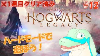※1週目クリア済【ホグワーツ・レガシー】ハードモードで遊びつつ雑談しよう！ #12 【鰐口(わにぐち)ユウ Vtuber】