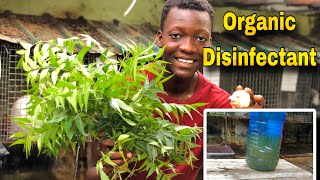 How To Make Organic Disinfectant From Neem Leaves And Garlic