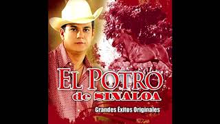 La Que Se Fue El Potro De Sinaloa EpicenterBassDgo