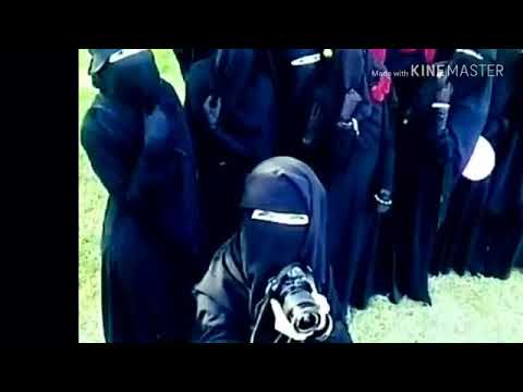 اناشيد اسلامية عن النقاب الوصف 