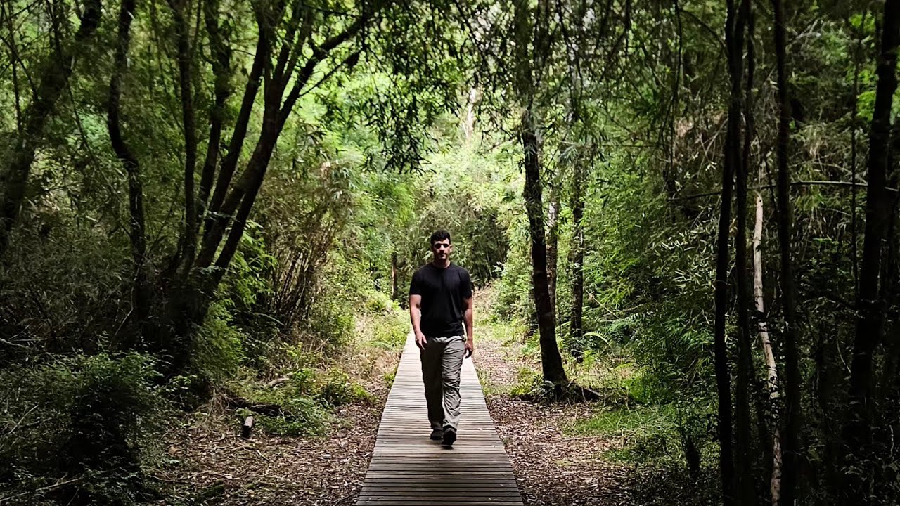 Sur de Chile - Parque Nacional Alerce Andino, Lago Puyehue- Dia 3
