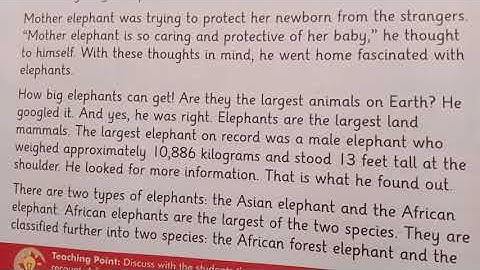 Grade 5, English, unit 2, part 2, The elephants