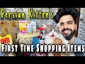 Shopping before buying persian kitten or cat  important persian cat accessories  persian cat items