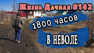 Жизнь Дачная #142. После 1800 часов неволи