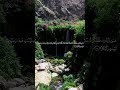 سورة التحريم • مدنية • بصوت ماهر المعيقلي | عدد الآيات: 12 #قرآن #Quran #تلاوة #قرآن_كريم #التحريم
