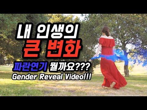 예시이미지
