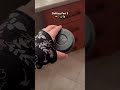 Mini vlog 10 Shifting home cleaning kitchen #trendingshorts #youtubeshorts #minivlog