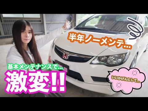飼い猫のきき☆(KiKi Channel) - YouTube